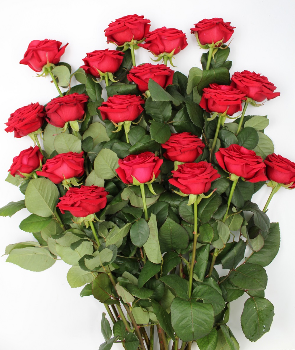 La Violetta Fiori - Mazzo di rose rosse