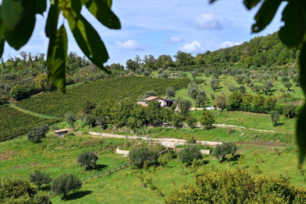 Tenuta Lungarella